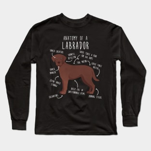 Chocolate Labrador Retriever Dog Anatomy Long Sleeve T-Shirt